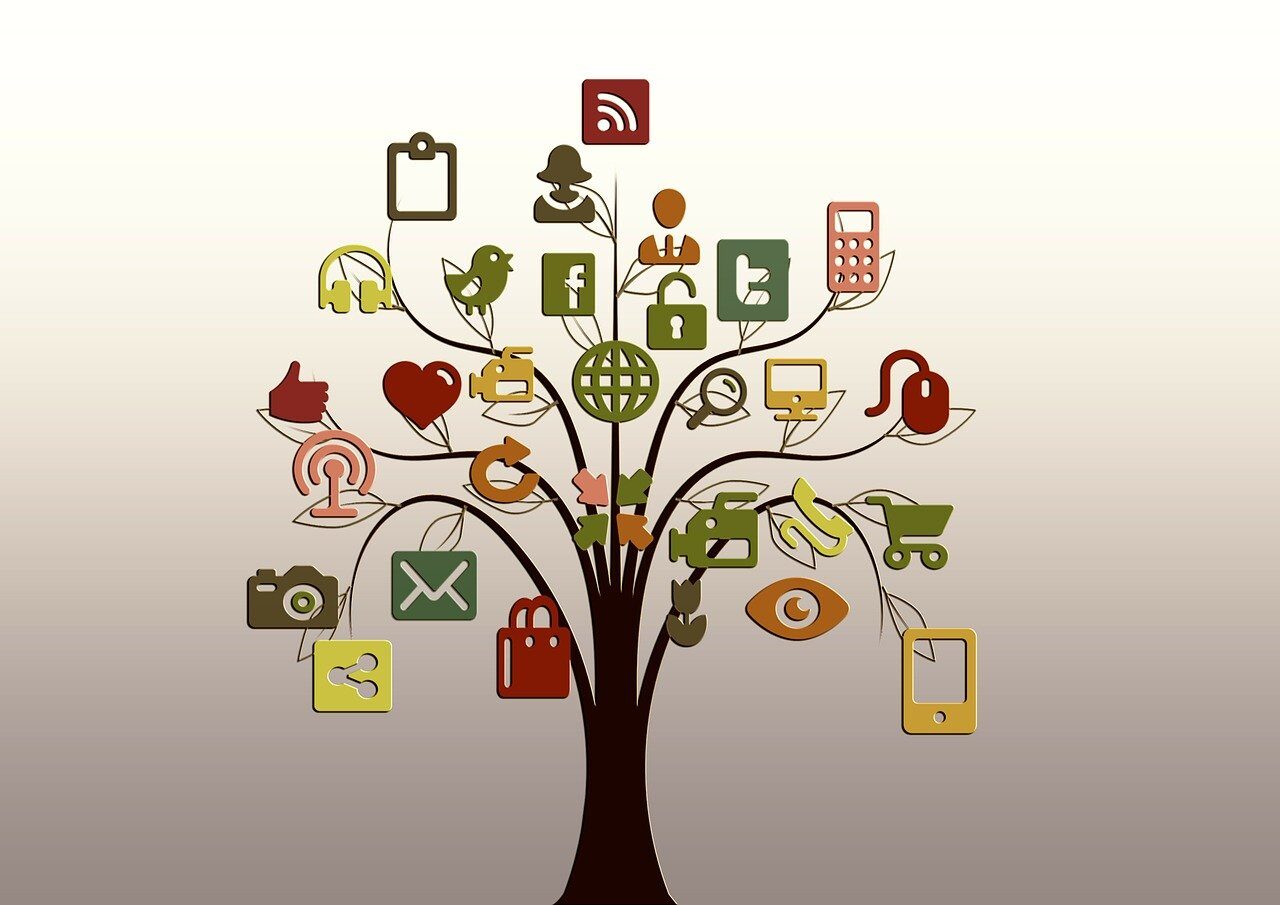 tree, structure, tiktok, networks, internet, network, social, social network, logo, facebook, google, social networking, networking, nature, social media, icon, website, presentation, multimedia
